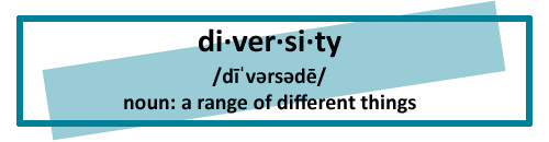 diversity definition